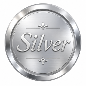AI Content - Silver